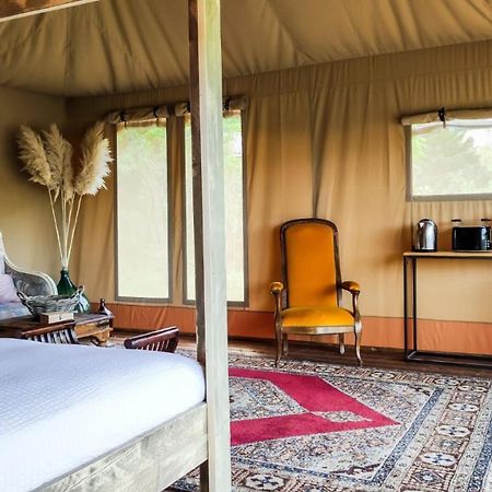 Hotel Orbis Boussagues à La Tour-sur-Orb Extérieur photo